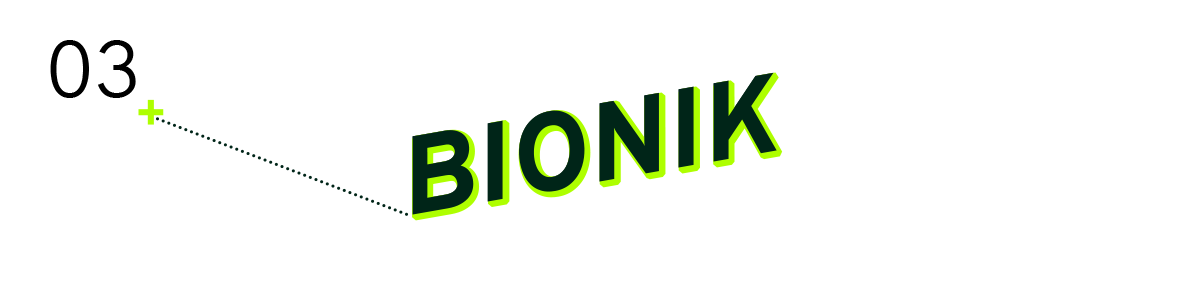 Bionik – Ab hier beginnt der Bereich Bionik