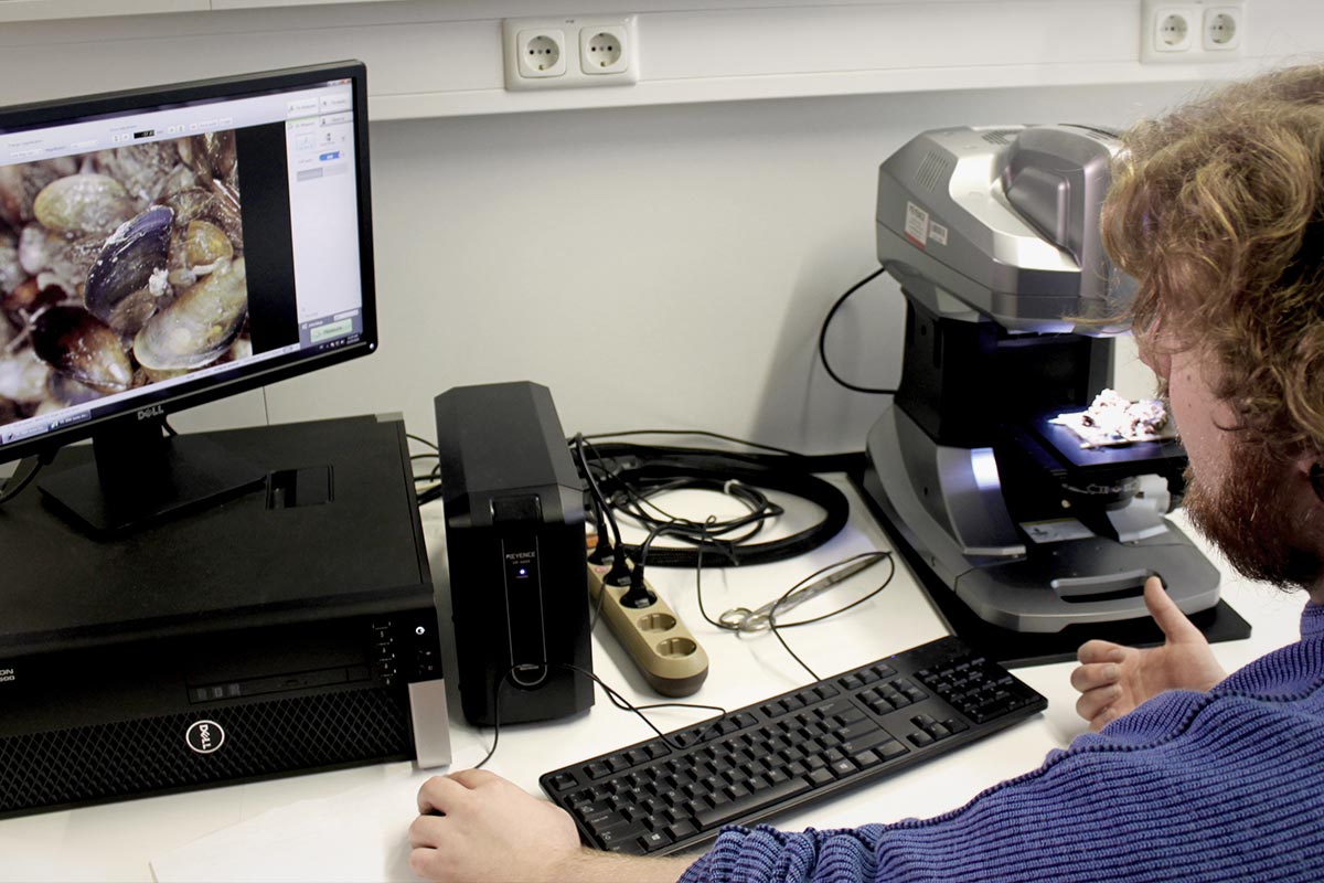 Mit dem 3D-Measure-Mikroskop untersucht Dennis ein Muschel-Seepocken-Gebilde um auf diese Weise Details der Bewuchsstruktur zu erfassen