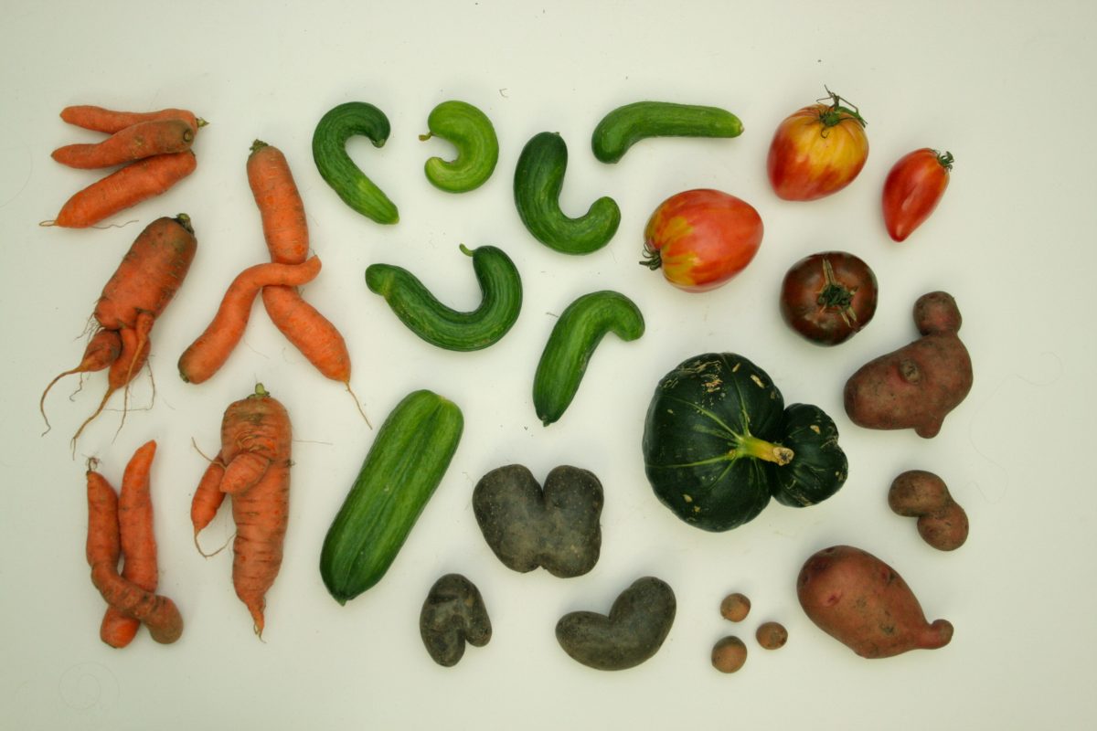 Gemüse - 10 Ideen zur Nachhaltigkeit, von denen Du wissen solltest