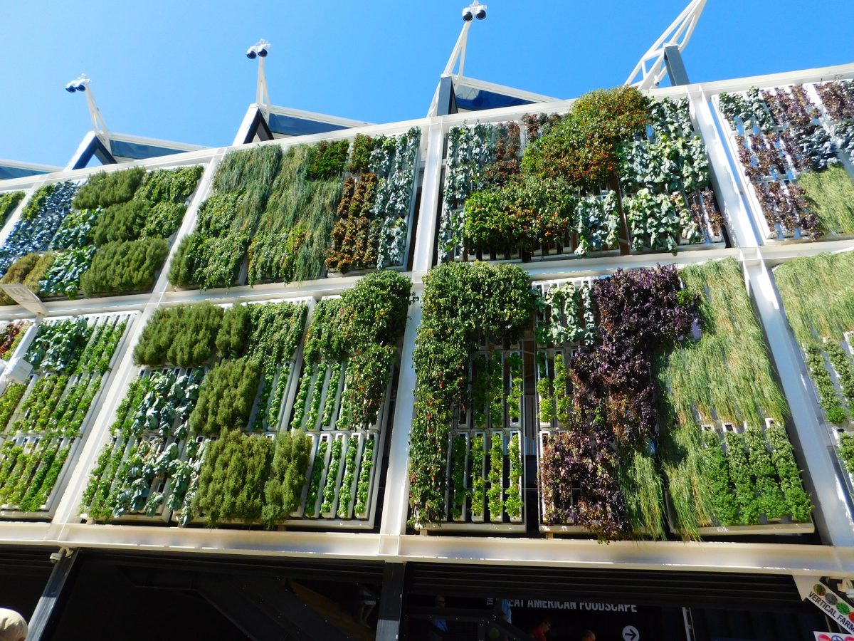 Vertical Gardening - 10 Ideen zur Nachhaltigkeit, von denen Du wissen solltest